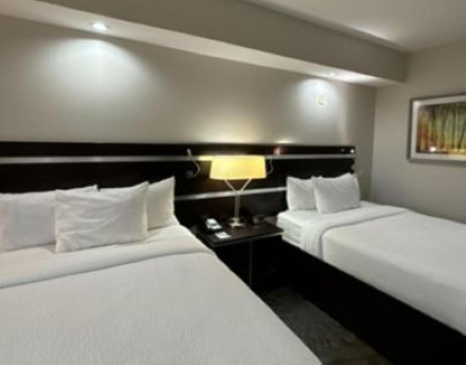 Fairfield Inn And Suites By Marriott North Spring Exteriör bild